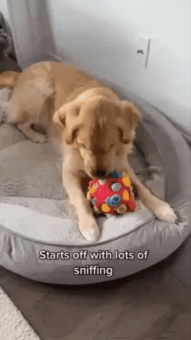  Snuffle Master Interactive Treat Game