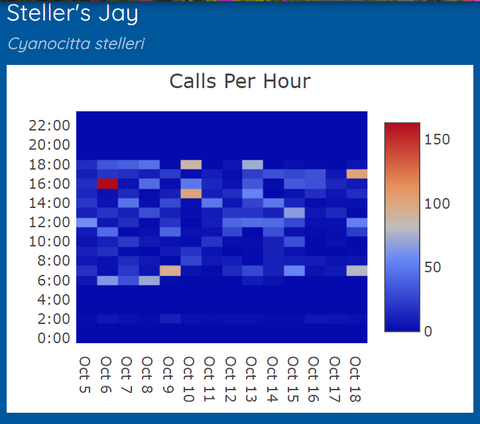Steller's Jay data in Eugene, OR October 2023