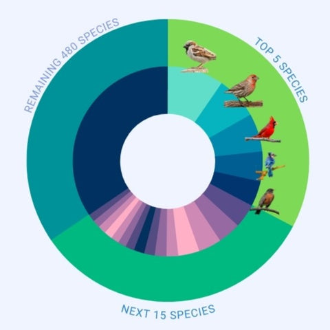 Infographic of Haikubox data