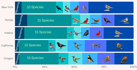 Infographic of site-specific birds