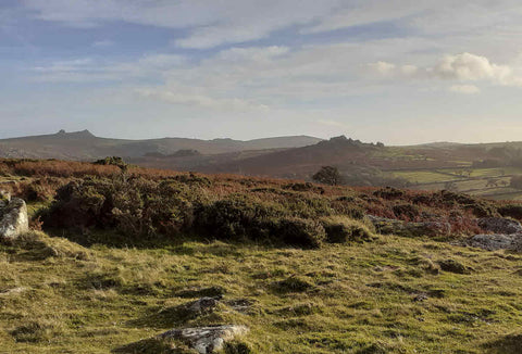 Glorious view of Dartmoor