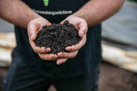 world soil day feed the soil feed the world Good Harvest Organic Farm