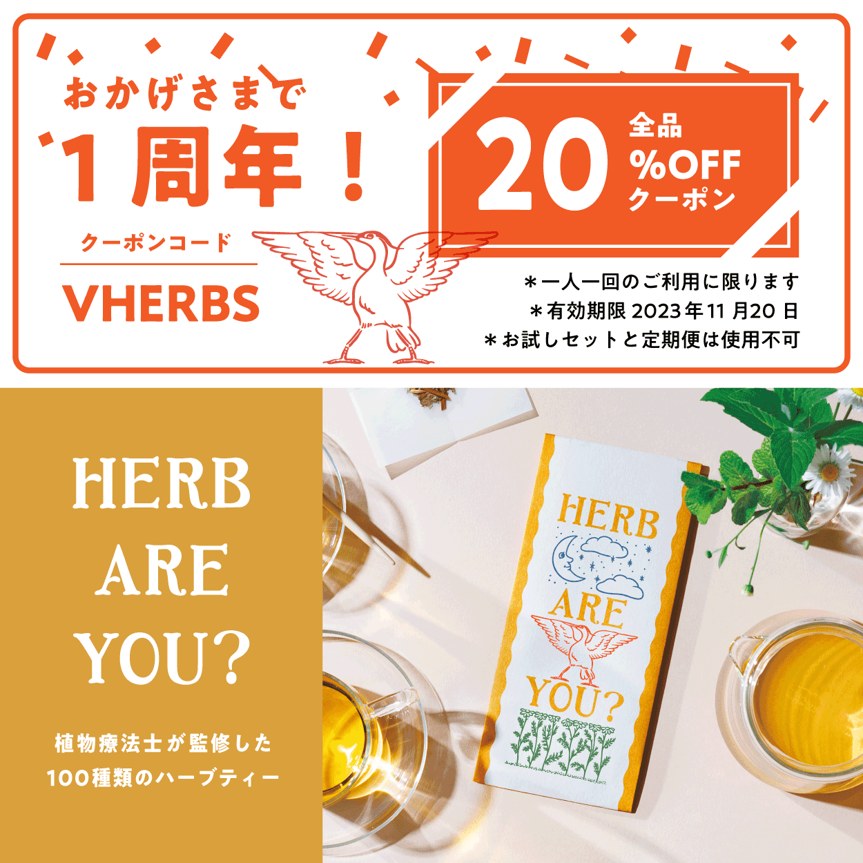 HERB ARE YOU？１周年クーポン