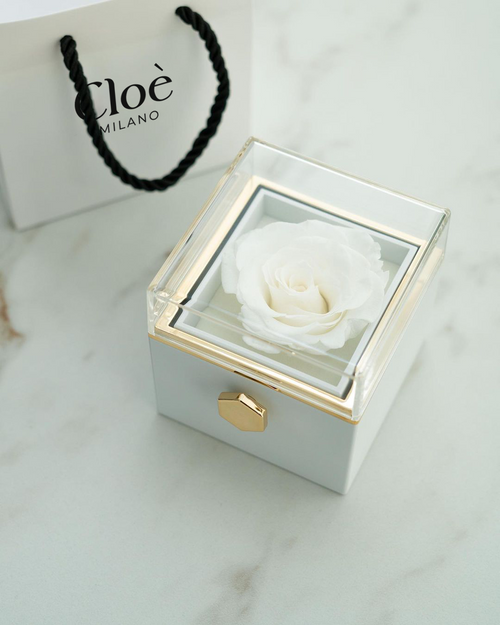 COLLANA INCISA CON BOX ROSA ETERNA – Cloè Milano