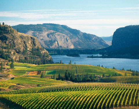 Osoyoos Wine Country