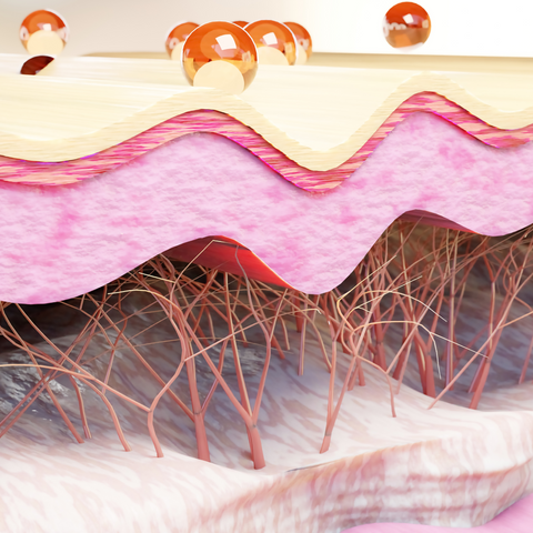 The Role of Collagen in Skin Firmness