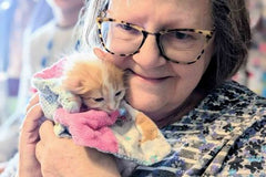 volunteer holding an orange kitten in a blanket