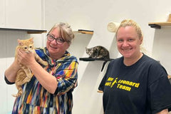 volunteers holding a kitty