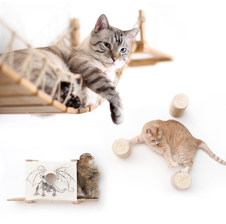 collection of cat furniture pieces with cats