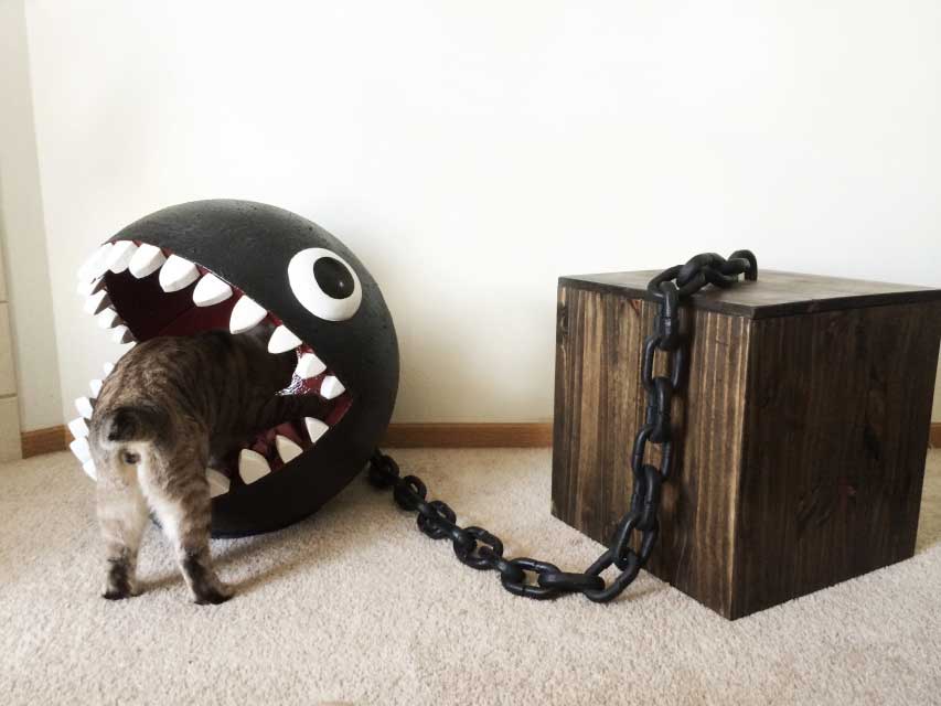 cat climbing into chain chomp structure