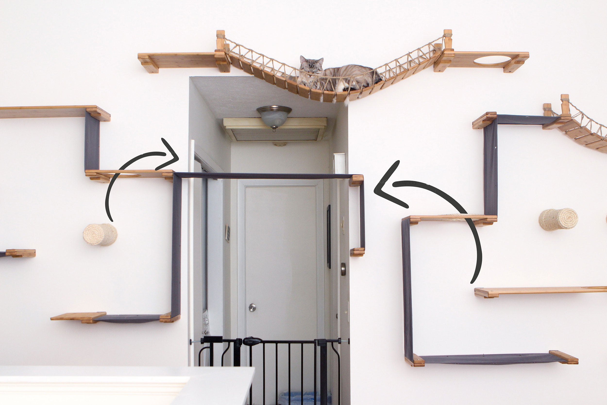 multiple routes on a cat wall