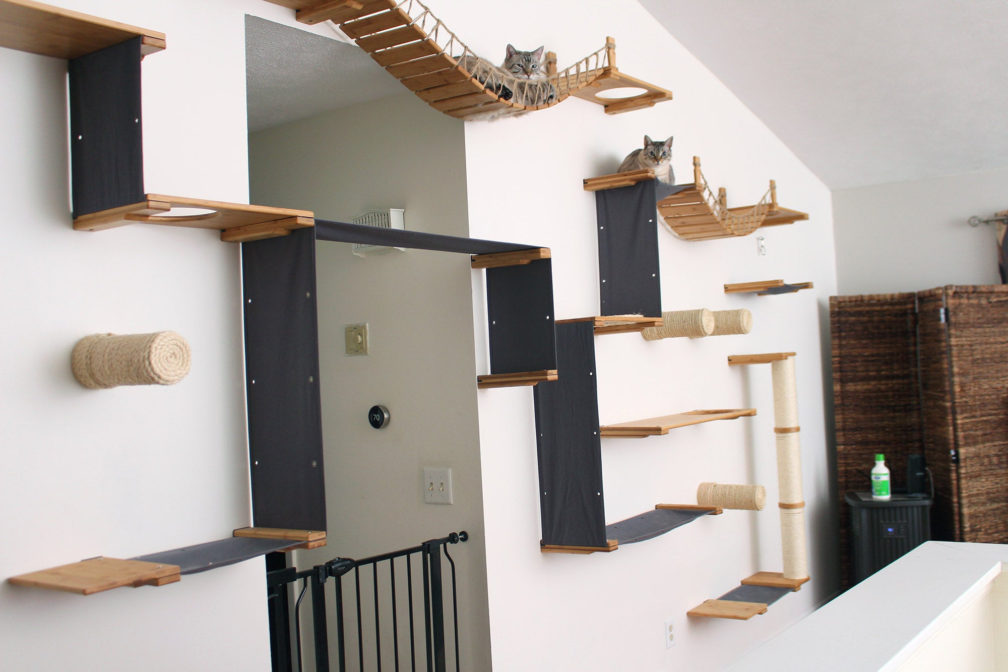 cat wall