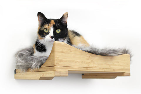 Calico cat watching the photographer while laying on a gray plush nest wall cat bed