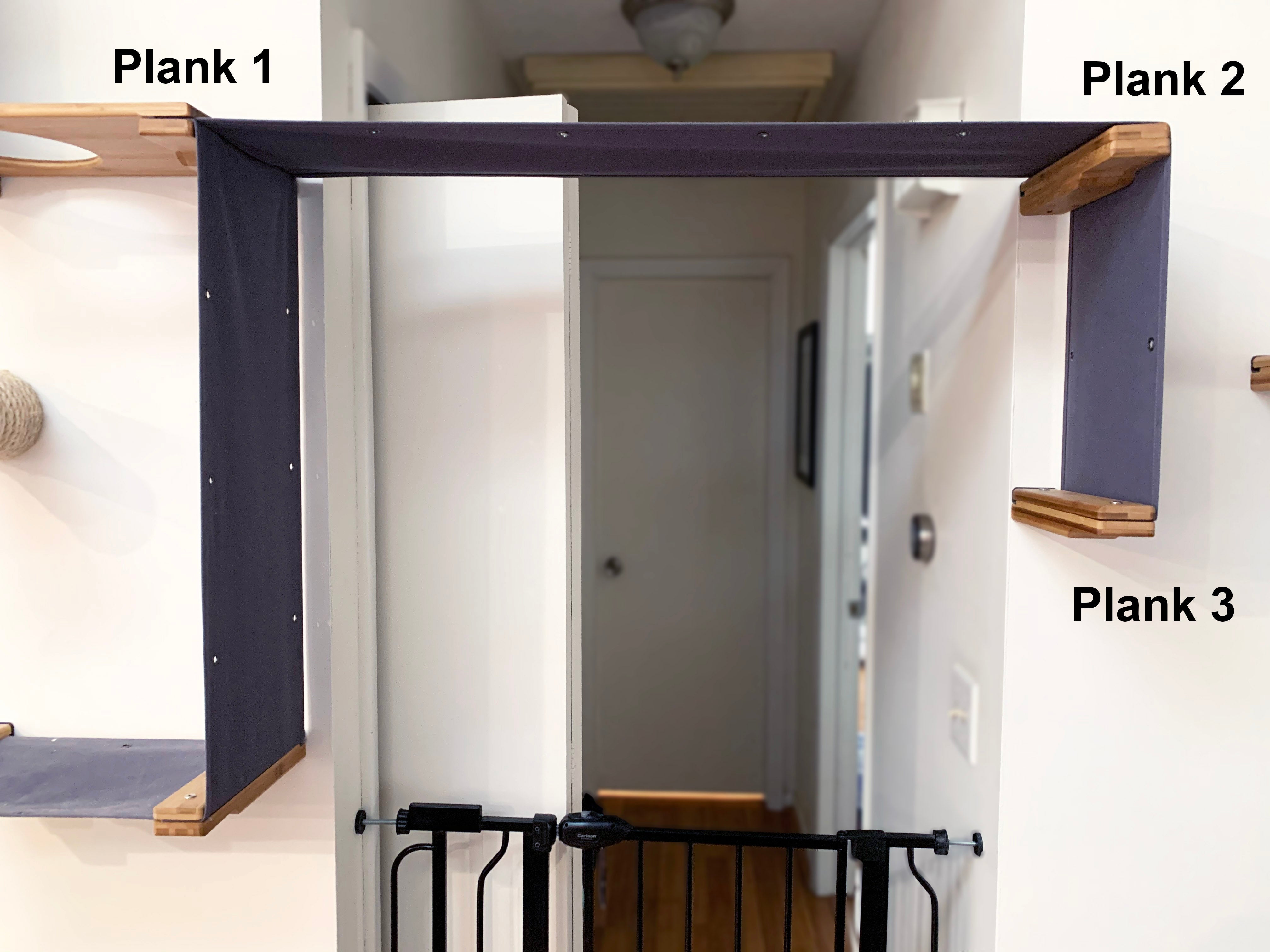 demonstration of cat wall design to extend across a hallway opening
