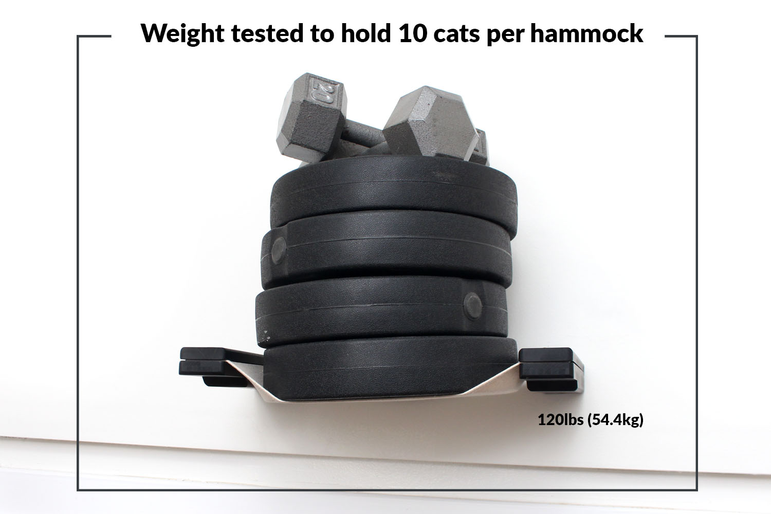 weight test with weights on hammock