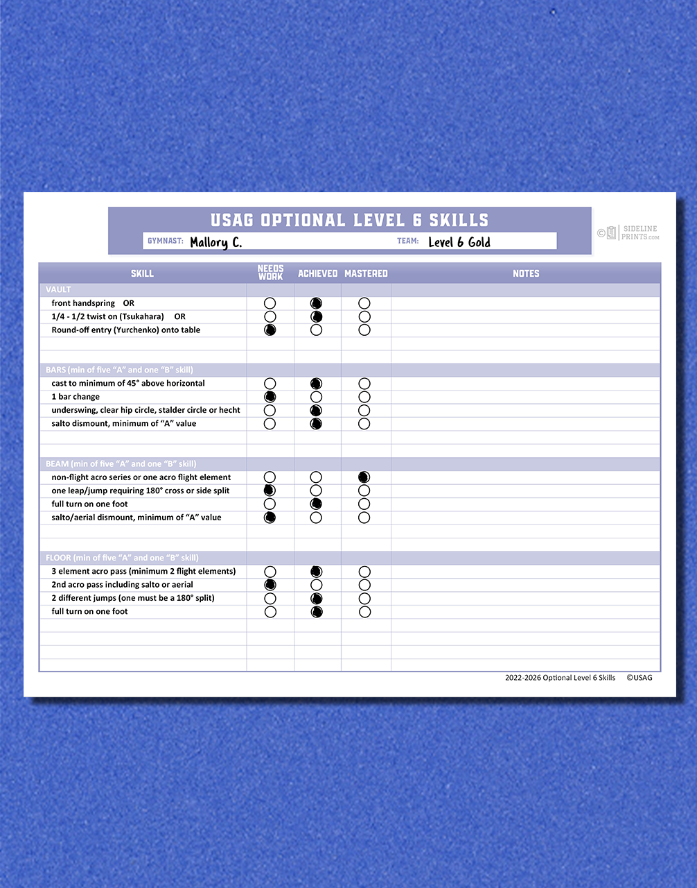 Level 6 Skill Tracker Template