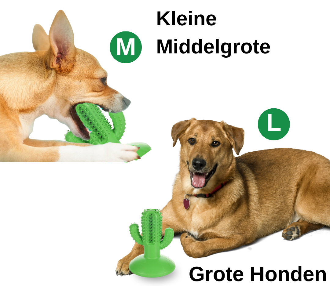 Honden tandenpoetsen honden hondenspeelgoed