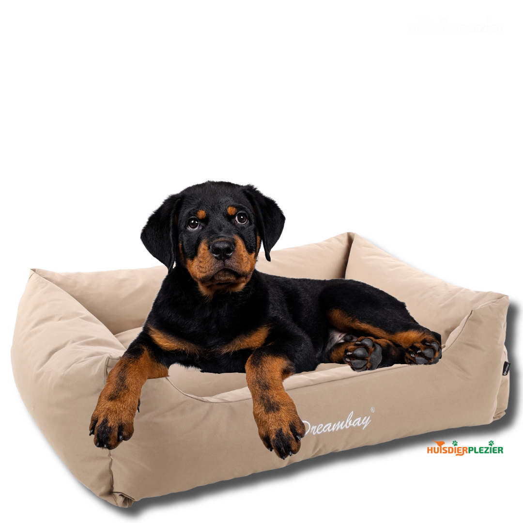 puppy in hondenmand rechthoekig Dreambay Beige