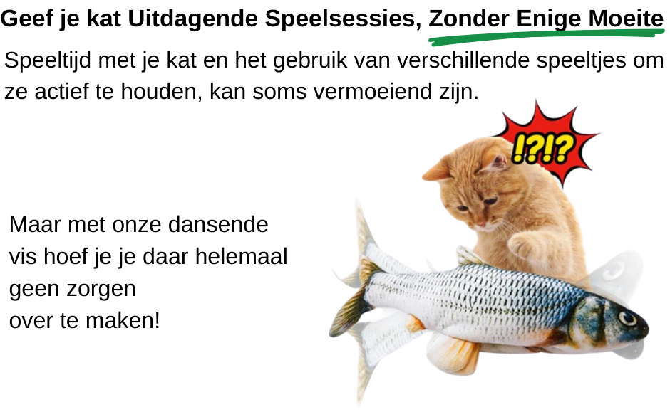 voordelen interactief kattenspeelgoed voor jouw kat kopen