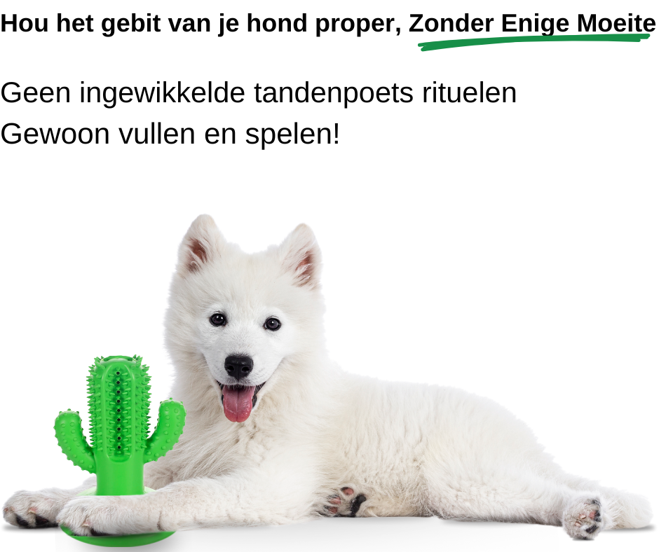 Voordelen hondenspeelgoed voor poetsen van tanden van jouw hond