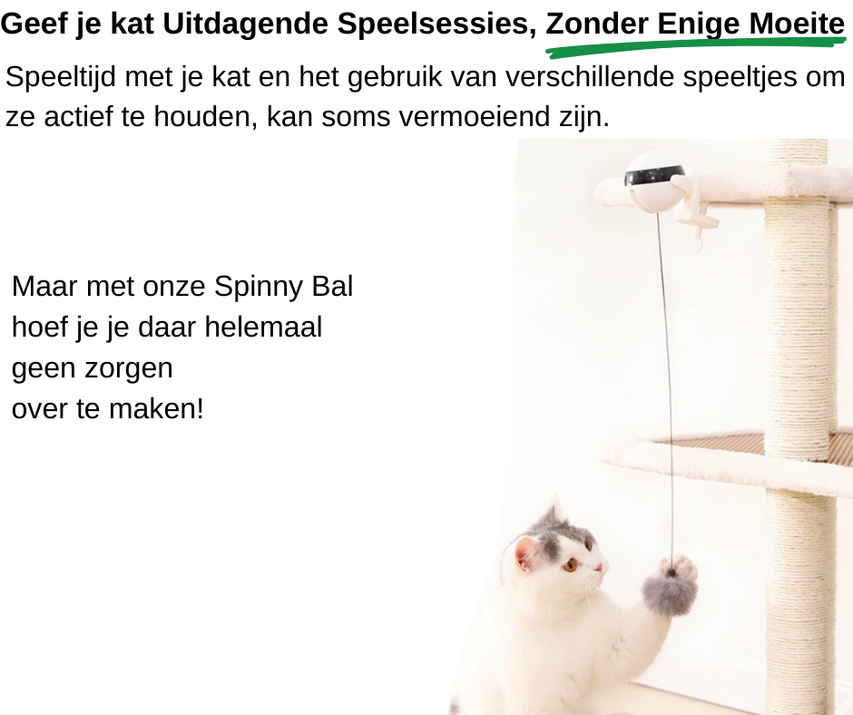 Waarom is kattenspeelgoed goed voor jouw kat