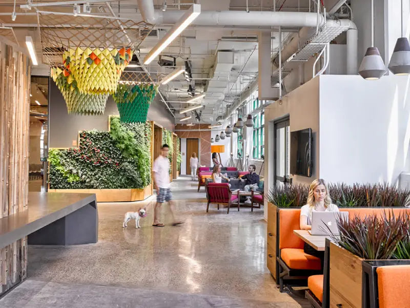 Bringing Plants into Your Office Space for a Homely Atmosphere