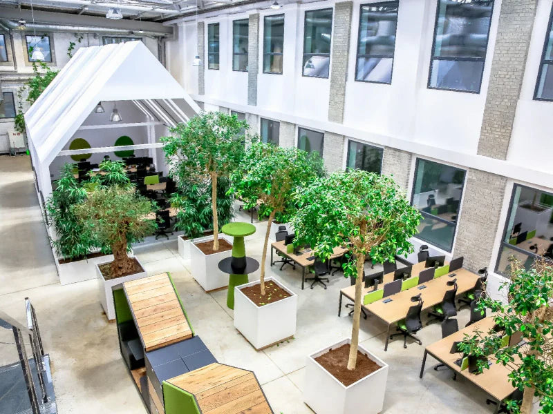 Green Office Nature