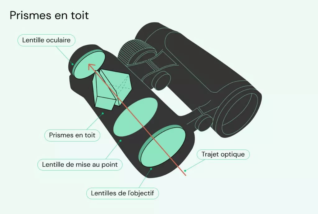 Jumelles enfant : les meilleurs modèles de 2023