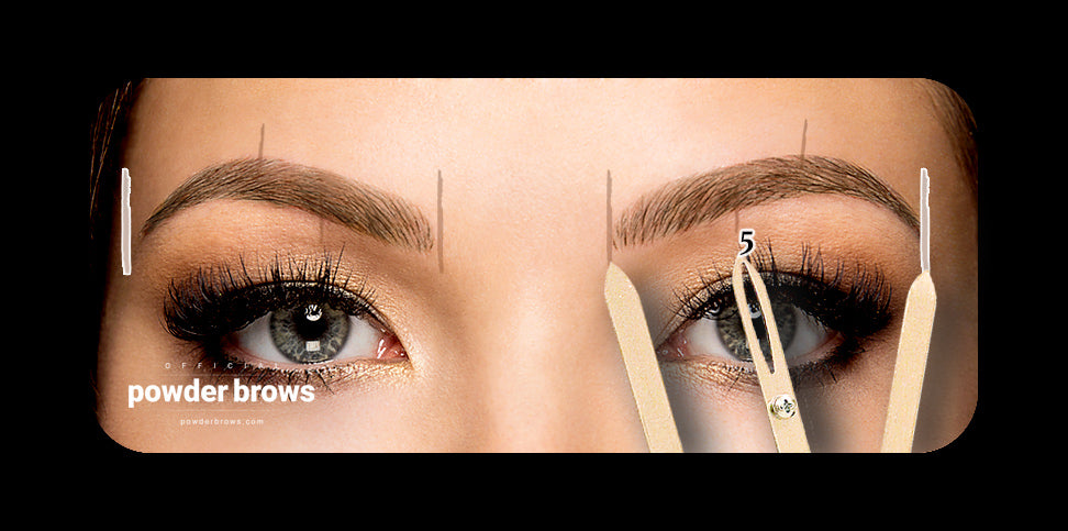 The face of a woman with the golden ratio tool mapping brows.