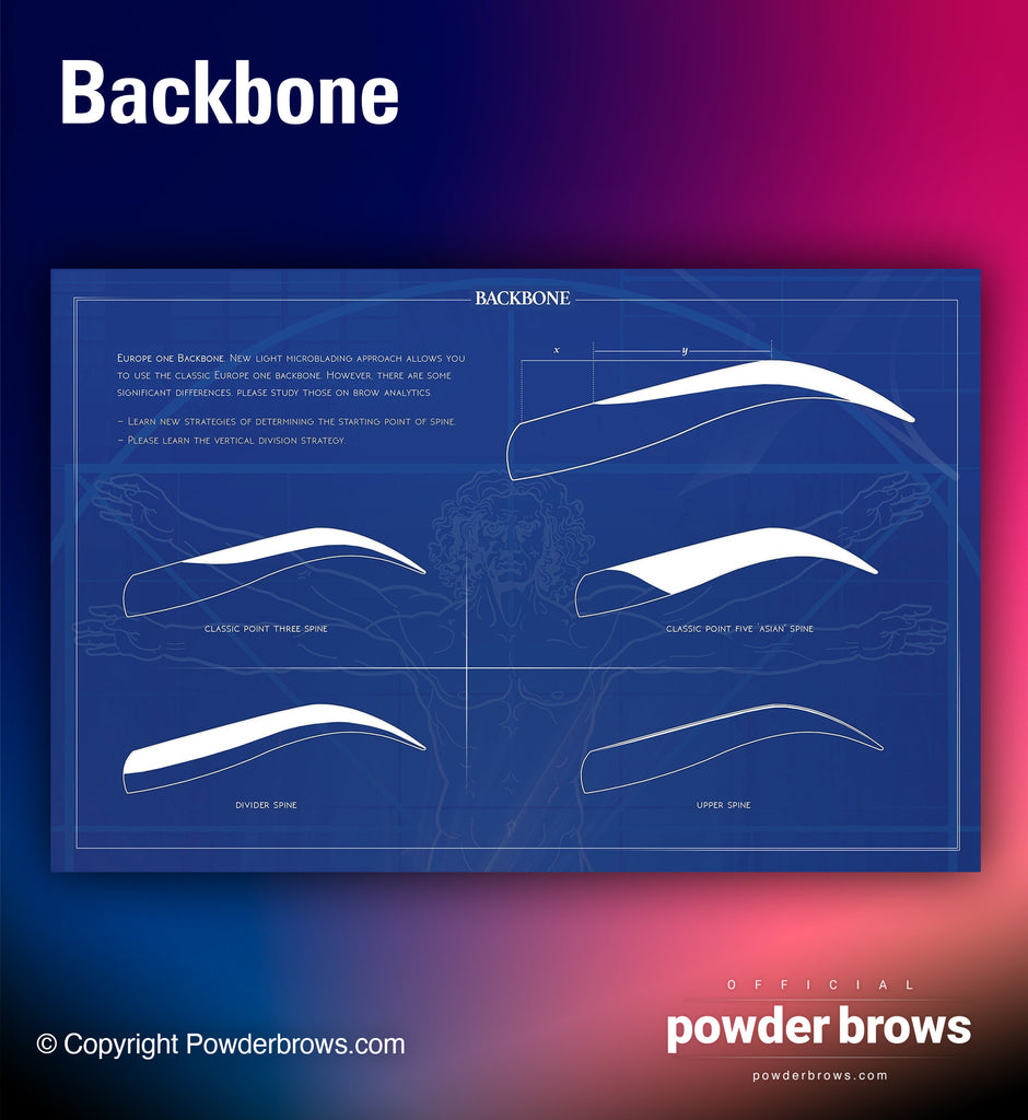 Backbones of the brow pattern (microblading, hairstrokes).