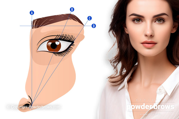 A vector graphics of a fragment of a face with nose and eyebrow with three vertical and slightly diagonal lines running up from nostrils and repsenting brow mapping positions. Attractive woman in classic clothing on the right.