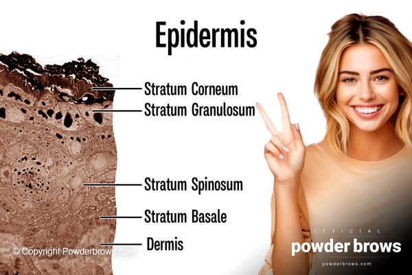 A photo of the actual skin epidermis is on the left, and a cheerful woman is showing a peace sign on the right.