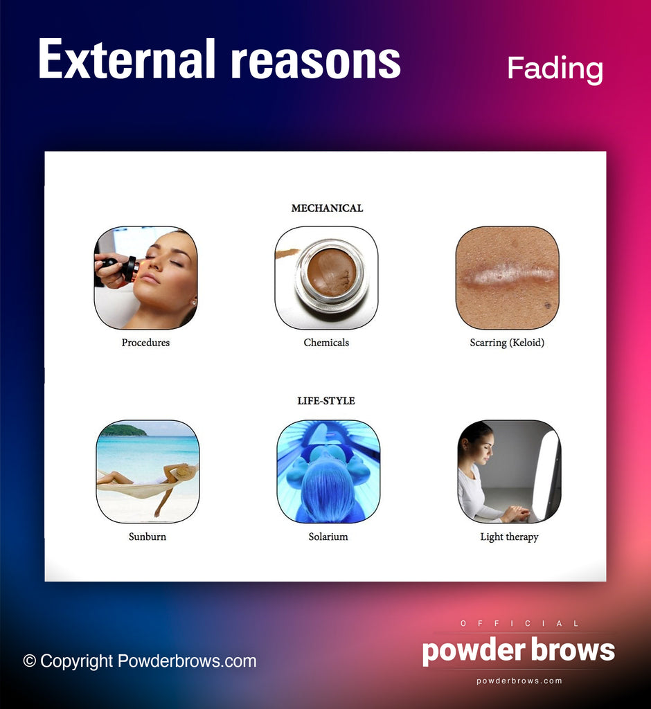 External reasons why pigment fades after powder brows procedure.