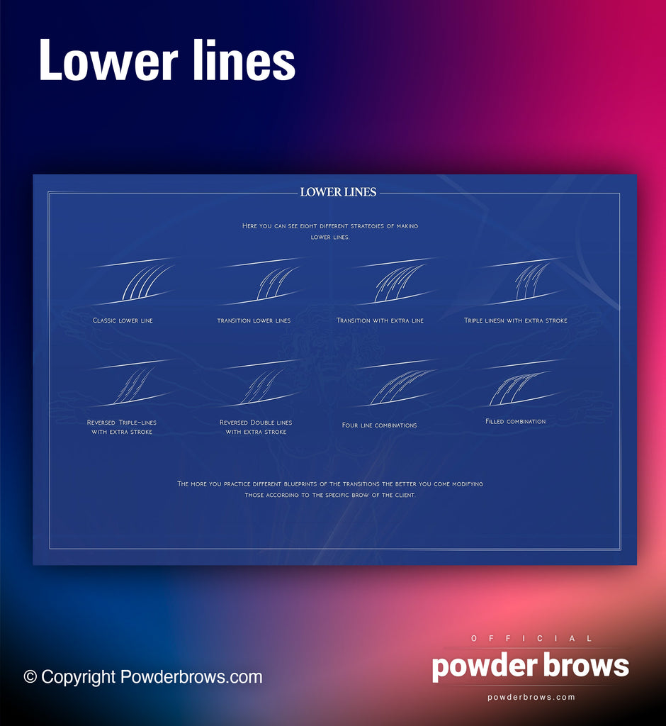Lowe lines of the brow pattern (microblading, hairstrokes).