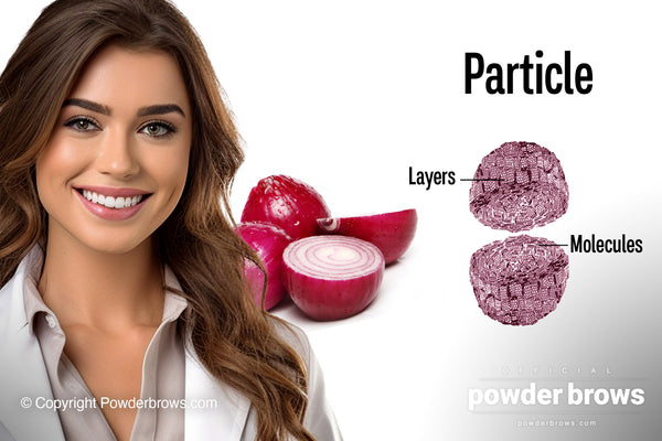 An attractive smiling woman on the left, an onion cut in half in the middle, and a Carbon Black pigment particle that looks like a sphere that has been composed of small irregularly placed layers.