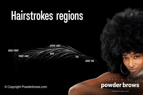 A hairstrokes brow pattern on a black background on the left with labels of regions and an attractive black woman with an afro haircut on the right.