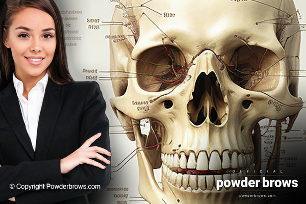 An attractive woman is on the left, and a picture of a human skull with labels of different bones is on the right.