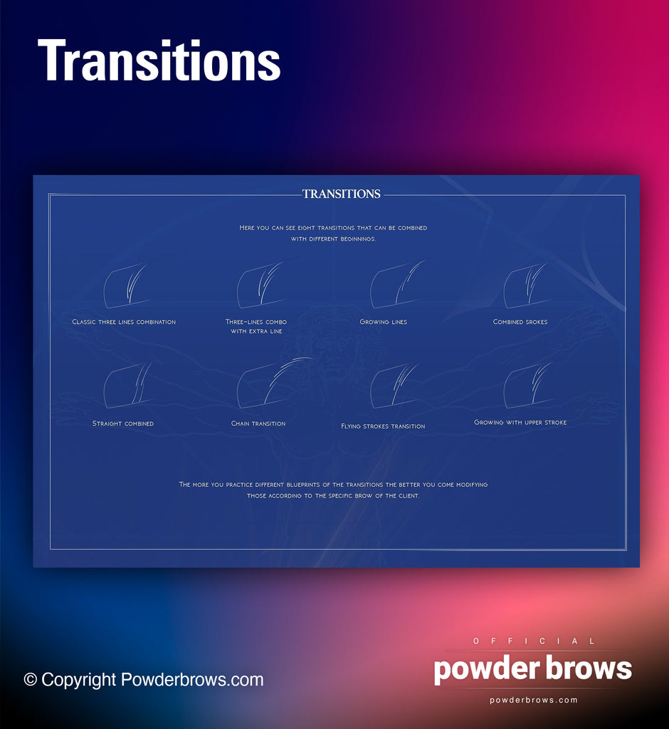 Transitions of the brow pattern (microblading, hairstrokes).