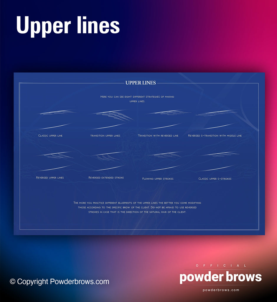 Upper lines of the brow pattern (microblading, hairstrokes).