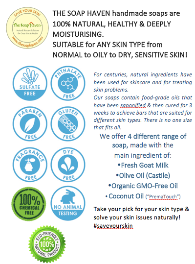 The Soap Haven Natural SKincare Products Infographics