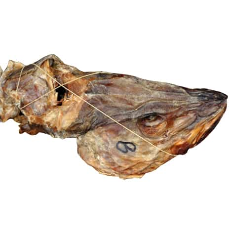 Stock Fish Body (Whole Medium) - Fresh To Dommot