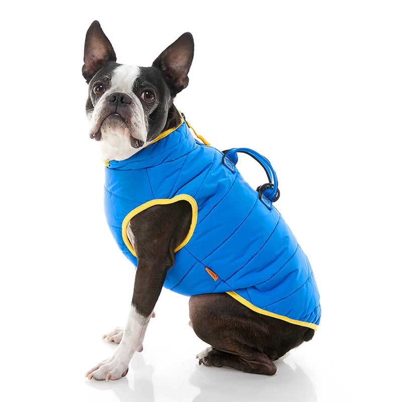 Small Dog Harnesses, Jackets & Coats | For your good boy. Gooby.
