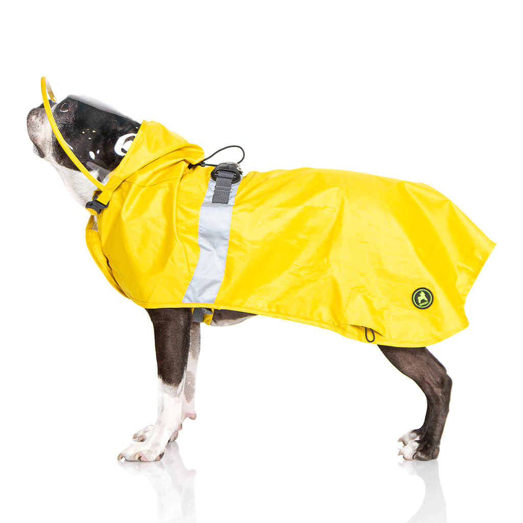 gooby dog raincoat