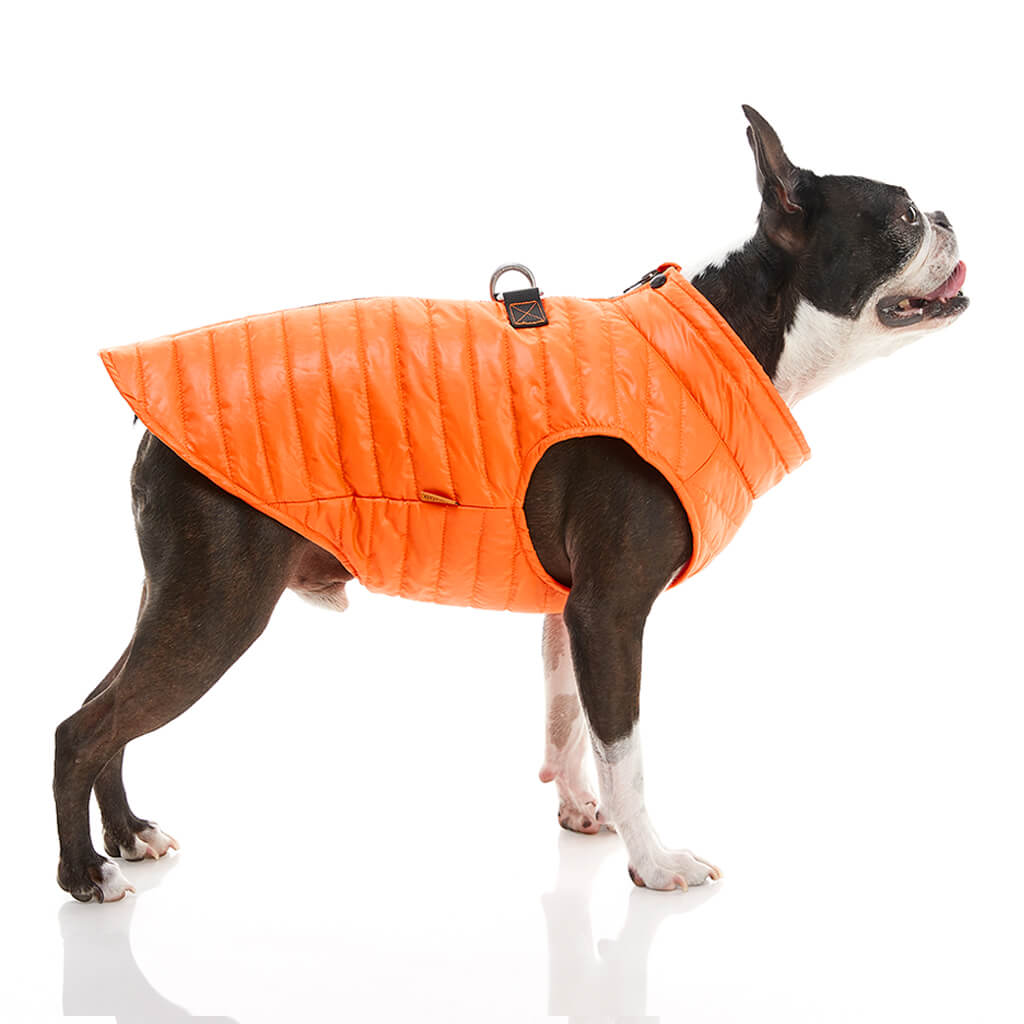 pet puffer vest