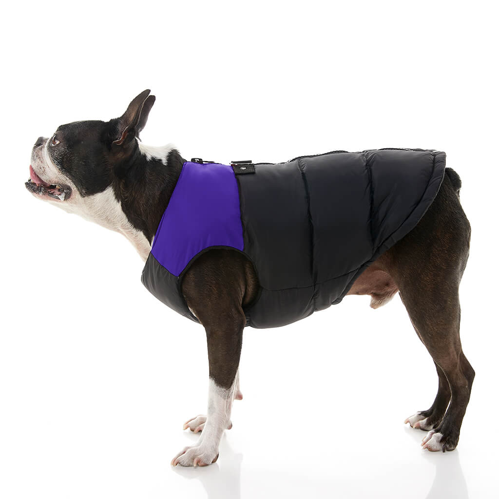 gooby padded dog jacket