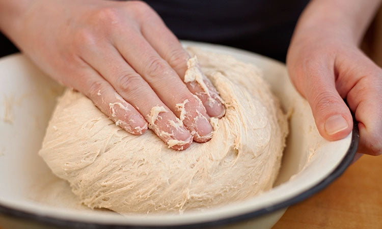 Yeast in the Dough
