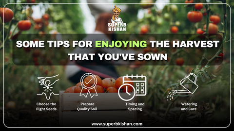 Some tips for enjoying the harvest that you've sown