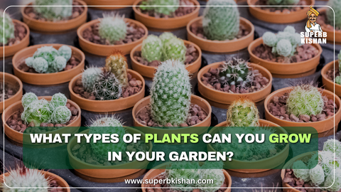 Superbkishan, What types of plants can you grow in your garden?