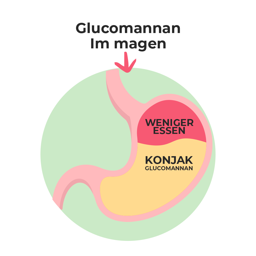 glucomannan-DE.webp__PID:c13b7ec4-5cfa-4691-9a4a-e3c296687403