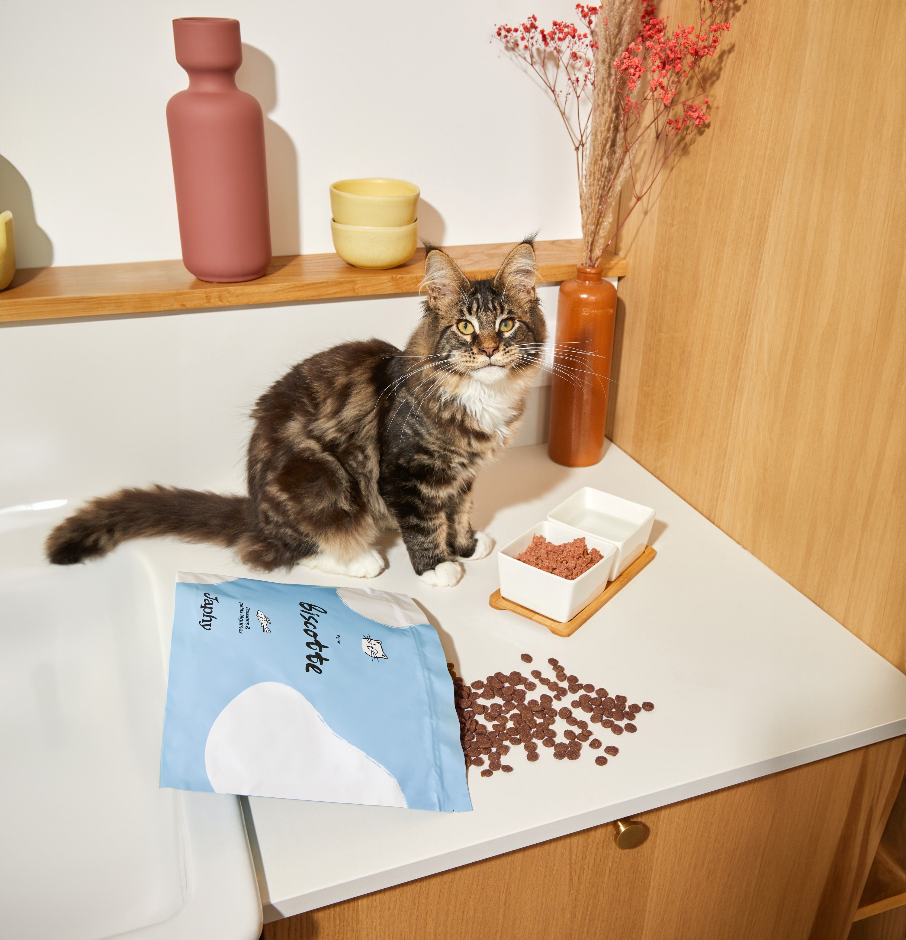 Croquettes pour chat stérilisé au Bœuf et Blé- 1,5 kg - Prix en Algérie